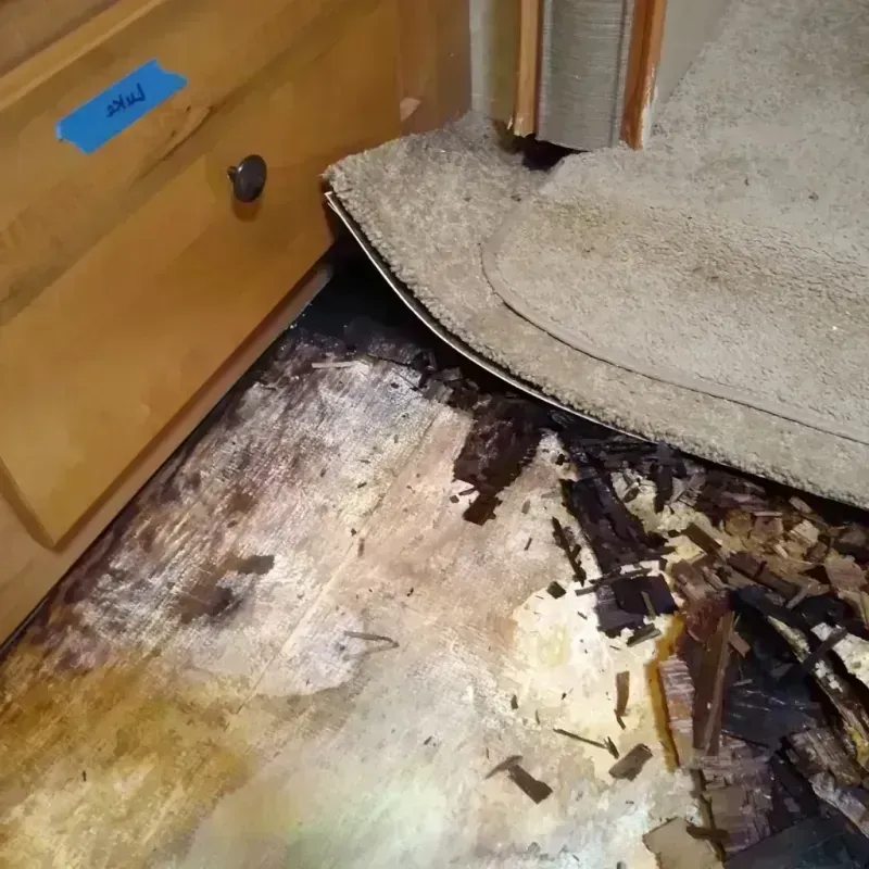 Wood Floor Water Damage in Metairie, LA